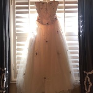 Quinceañera / Wedding Dress